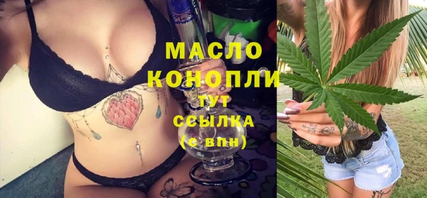 гашик Михайловка