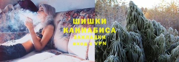 гашик Михайловка