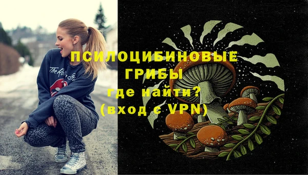 гашик Михайловка