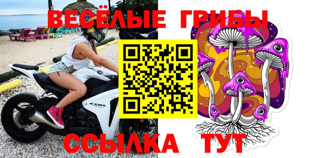 Кунгур  Псилоцибиновые грибы MAGIC MUSHROOMS  Вход с VPN 