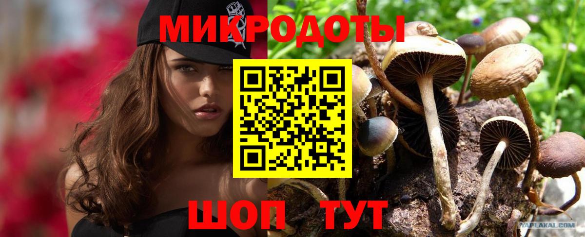 Галлюциногенные грибы мицелий Кунгур